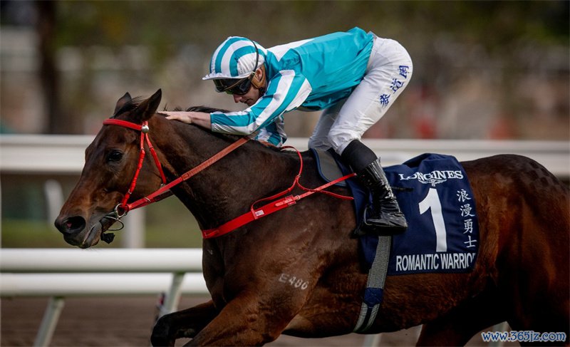 中国香港赛驹“肆意骁雄”探究四年勇夺“香港杯”。主持方供图